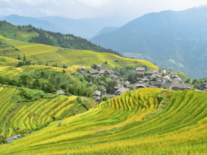 Terrazas de Arroz de Longji